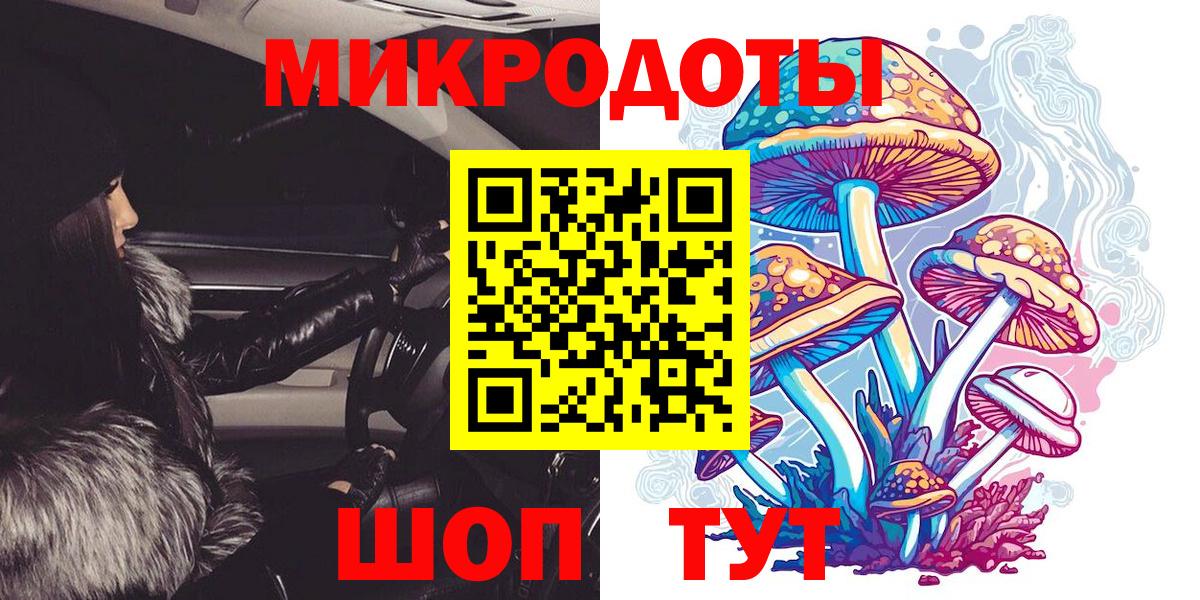 Псилоцибиновые грибы мицелий Петрозаводск